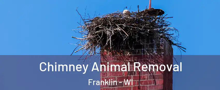 Chimney Animal Removal Franklin - WI