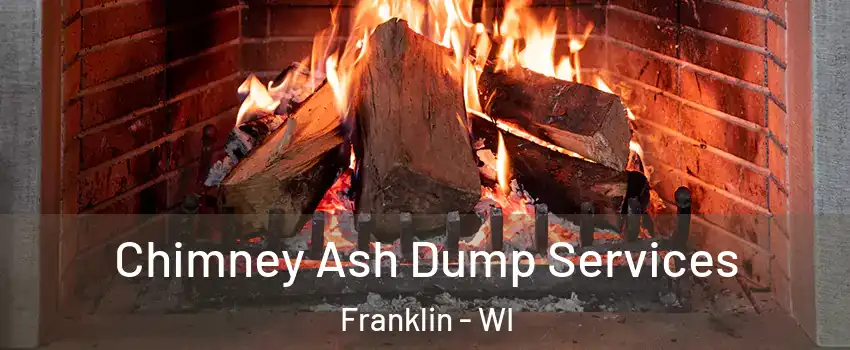  Chimney Ash Dump Services Franklin - WI