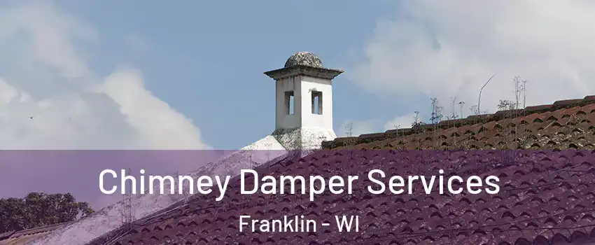  Chimney Damper Services Franklin - WI