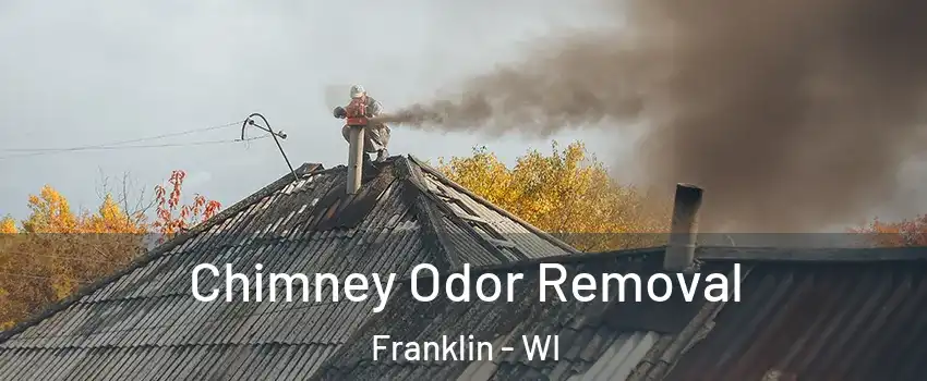  Chimney Odor Removal Franklin - WI