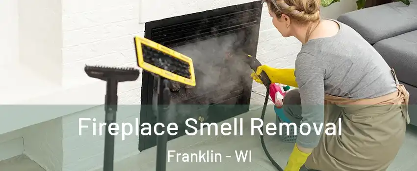  Fireplace Smell Removal Franklin - WI