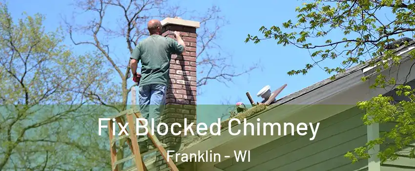  Fix Blocked Chimney Franklin - WI
