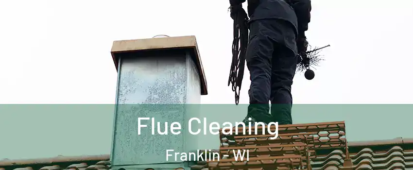  Flue Cleaning Franklin - WI