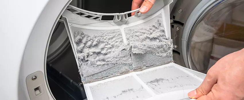 Best Dryer Lint Removal Company in Franklin, Wisconsin