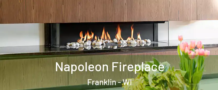  Napoleon Fireplace Franklin - WI
