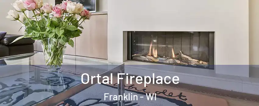 Ortal Fireplace Franklin - WI