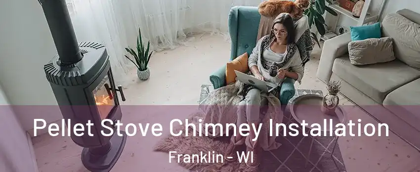  Pellet Stove Chimney Installation Franklin - WI